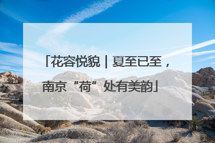 花容悦貌｜夏至已至，南京“荷”处有美韵