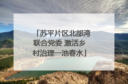 苏平片区北部湾联合党委 激活乡村治理一池春水