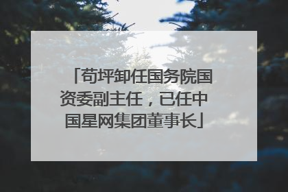 苟坪卸任国务院国资委副主任，已任中国星网集团董事长