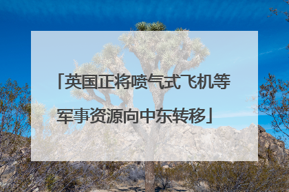 英国正将喷气式飞机等军事资源向中东转移