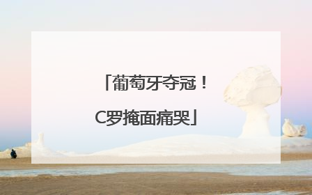葡萄牙夺冠！C罗掩面痛哭