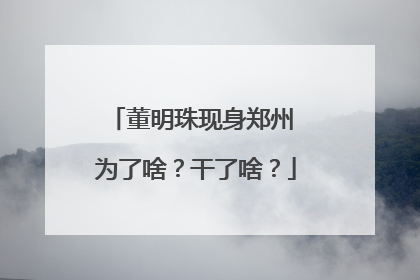 董明珠现身郑州 为了啥？干了啥？