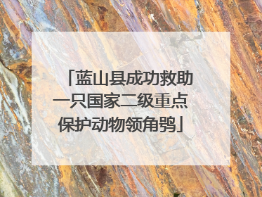 蓝山县成功救助一只国家二级重点保护动物领角鸮