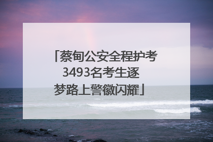蔡甸公安全程护考 3493名考生逐梦路上警徽闪耀
