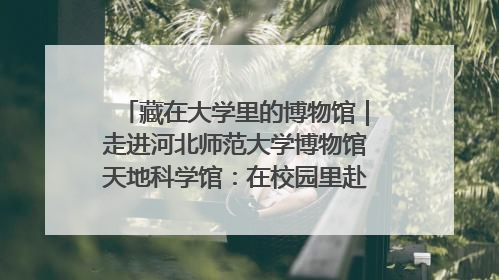 藏在大学里的博物馆｜走进河北师范大学博物馆天地科学馆：在校园里赴一场“宇宙之约”