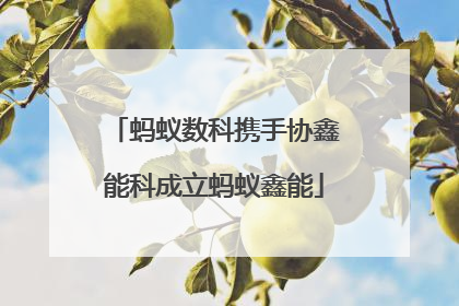 蚂蚁数科携手协鑫能科成立蚂蚁鑫能