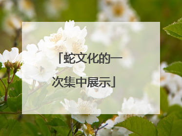 蛇文化的一次集中展示