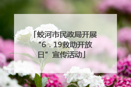 蛟河市民政局开展“6．19救助开放日”宣传活动