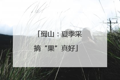 蜀山：夏季采摘“果”真好