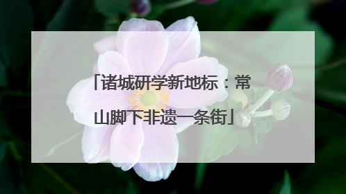 诸城研学新地标：常山脚下非遗一条街