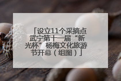 设立11个采摘点 武宁第十一届“新光杯”杨梅文化旅游节开幕（组图）