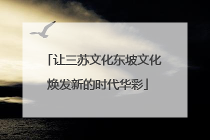 让三苏文化东坡文化焕发新的时代华彩