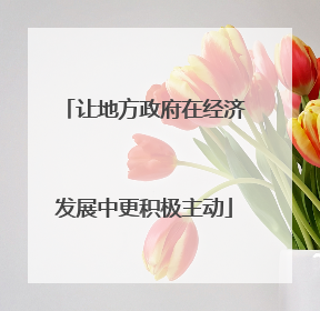 让地方政府在经济发展中更积极主动