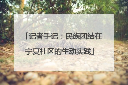 记者手记：民族团结在宁夏社区的生动实践
