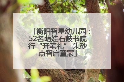 衡阳智星幼儿园：52名萌娃石鼓书院行“开笔礼” 朱砂点智启童蒙