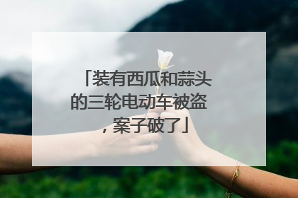 装有西瓜和蒜头的三轮电动车被盗，案子破了