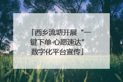 西乡流塘开展“一键下单·心愿速达”数字化平台宣传