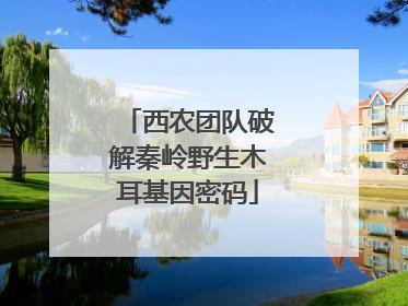 西农团队破解秦岭野生木耳基因密码
