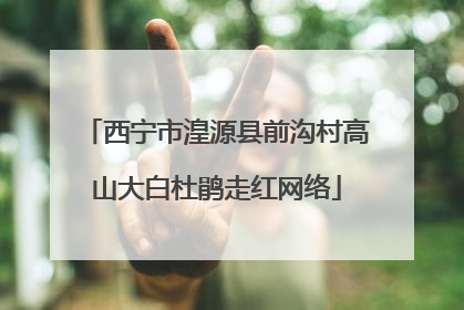 西宁市湟源县前沟村高山大白杜鹃走红网络