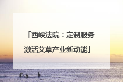 西峡法院：定制服务激活艾草产业新动能