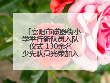 襄阳市磁器街小学举行新队员入队仪式 130余名少先队员光荣加入中国少年先锋队