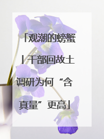 观潮的螃蟹丨干部回故土调研为何“含真量”更高