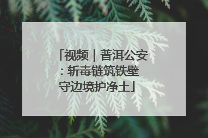 视频｜普洱公安：斩毒链筑铁壁 守边境护净土