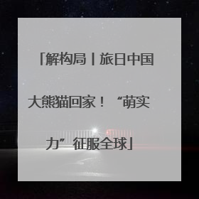 解构局丨旅日中国大熊猫回家！“萌实力”征服全球