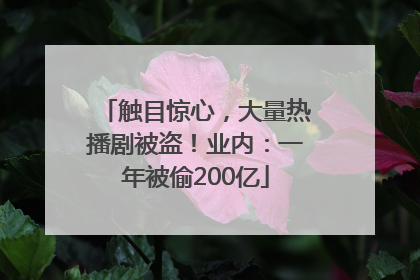 触目惊心，大量热播剧被盗！业内：一年被偷200亿