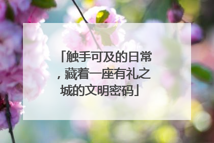 触手可及的日常，藏着一座有礼之城的文明密码
