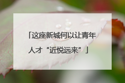 这座新城何以让青年人才“近悦远来”