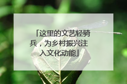 这里的文艺轻骑兵，为乡村振兴注入文化动能
