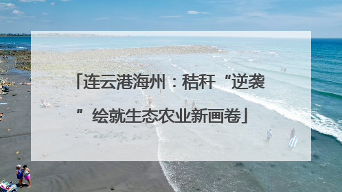 连云港海州：秸秆“逆袭”绘就生态农业新画卷