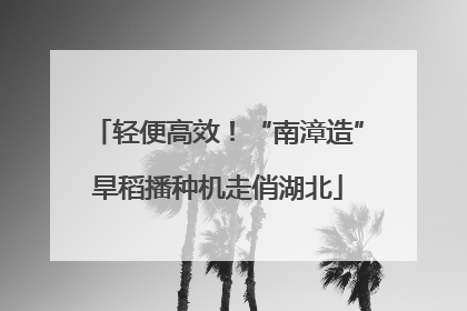轻便高效！“南漳造”旱稻播种机走俏湖北