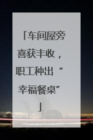 车间屋旁喜获丰收，职工种出“幸福餐桌”