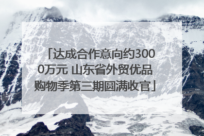 达成合作意向约3000万元 山东省外贸优品购物季第三期圆满收官