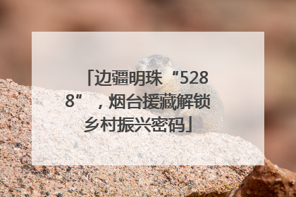 边疆明珠“5288”，烟台援藏解锁乡村振兴密码