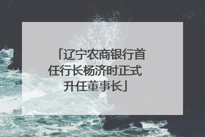 辽宁农商银行首任行长杨济时正式升任董事长