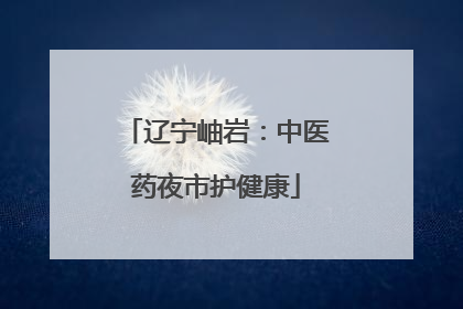 辽宁岫岩：中医药夜市护健康