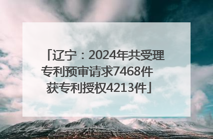 辽宁：2024年共受理专利预审请求7468件 获专利授权4213件