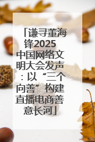 谦寻董海锋2025中国网络文明大会发声：以“三个向善”构建直播电商善意长河
