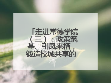 走进常德学院（三）：政策筑基、引凤来栖，锻造校城共享的“双师铁军”