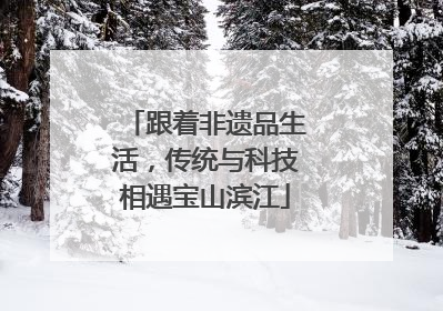 跟着非遗品生活，传统与科技相遇宝山滨江