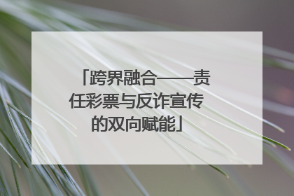 跨界融合——责任彩票与反诈宣传的双向赋能