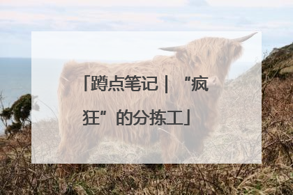 蹲点笔记｜“疯狂”的分拣工