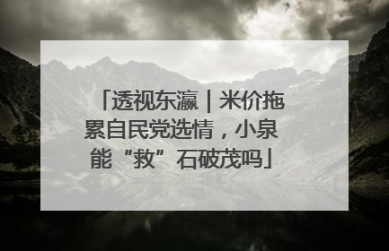 透视东瀛｜米价拖累自民党选情，小泉能“救”石破茂吗