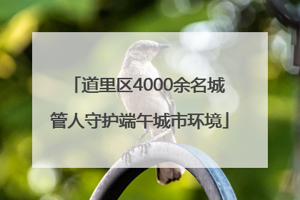 道里区4000余名城管人守护端午城市环境