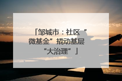 邹城市：社区“微基金”撬动基层“大治理”