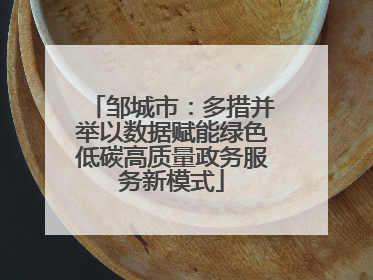 邹城市：多措并举以数据赋能绿色低碳高质量政务服务新模式