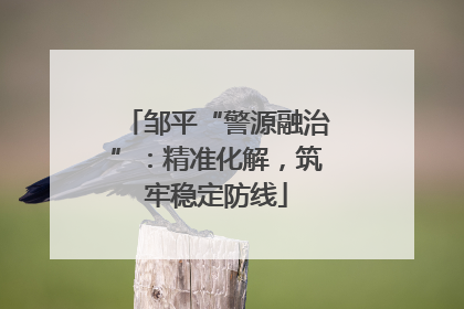 邹平“警源融治”：精准化解，筑牢稳定防线